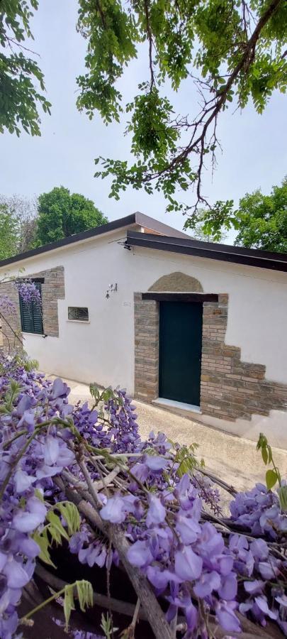 Agriturismo Terranova Pisticci Exteriér fotografie